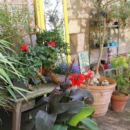 Les Petites Mirabelles Bed & Breakfast Noyers-sur-Cher Eksteriør bilde